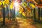 Autumn in vivid forest. Bright sun through colorful leaves on forest nature background. Landscape of vibrant forest