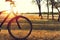 Autumn walk on a bicycle in the autumn forest. The sun shines through the bicycle.