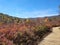 An autumn walk through Graveyard Fields