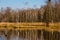 Autumn walk in a moor, an area of nature protection in Norderstedt, Germany