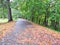 Autumn walking path, Lithuania