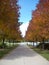 Autumn walkway