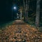 Autumn walkway in the dark, full with leafs. City Valmiera