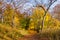 Autumn walkway of High Park covered with orange leaves - Toronto, Ontario, Canada