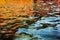 Autumn water background with orange and red leaves reflection. waves at sea surface