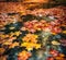 Autumn Water Maple Leaf Background