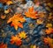 Autumn Water Maple Leaf Background