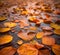 Autumn water nature fall background