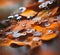 Autumn water nature fall background