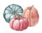 Autumn watercolor pumpkins