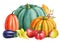 Autumn watercolor Pumpkins on an isolated white background, Thanksgiving harvest