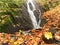 Autumn waterfall in basalt rock. Shinning streams and many colorful leaves on banks