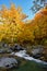 Autumn waterfall and creek woods with yellow trees foliage and r