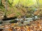 Autumn waterfall scenery bolu yedigoller national park, Bolu Turkey