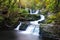 Autumn Waterfall with trees