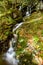 Autumn Waterfall in Tremont in the Great Smoky Mountains