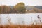 Autumn waterscape and swans