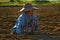 Autumn weekdays on floodplain fields of Myanmar