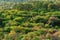 autumn wetland forest landscape