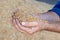 Autumn wheat harvest. Male hands close-up holding full palms of grain.