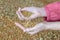 Autumn wheat harvest. Women`s hands close-up holding full palms of grain