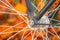 Autumn Whispers: Close-Up of Wheel Spokes Amidst Fall Leaves