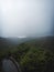 Autumn wildlife landscape. Mist fogg in a forest in monsoon season.