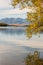 Autumn willow tree leaves reflecting on lake surface