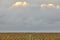 Autumn wineyards in St. Emilion. Agriculture industry in Aquitaine. France