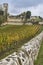 Autumn wineyards in St. Emilion. Agriculture industry in Aquitaine. France