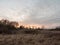 autumn winter dead grass field sunset grey overcast sky