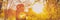 Autumn woman in beautiful autumn yellow sun flare nature with falling leaves over forest background. Panoramic banner