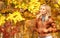 Autumn Woman. Fall. Blonde Girl with Yellow Leaves
