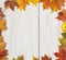 Autumn Wood Fall Background