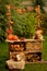 Autumn wooden stand with decoration, apples, leaves, mug, hedgehock in the park