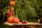 Autumn wooden stand with decoration, apples, leaves, mug, hedgehock in the park