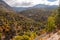 Autumn woodland in Golo valley in Corsica