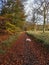 Autumn Woodland Walks in Fife