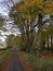 Autumn Woodland Walks in Fife