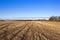 Autumn woods and straw stubble