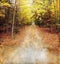 Autumn Woods Trail on Grunge Background