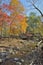 Autumn woodsy river 16