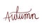 Autumn word calligraphy isolated icon