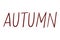 Autumn word calligraphy isolated icon