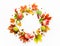 Autumn wreath made of apple,leaves, berries on white background. Autumn composition for Thanksgiving day or for other holidays.