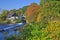 Autumn on the Wupper River