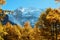 The Autumn at Yading Nature Reserve in Daocheng County ,China