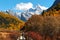 The Autumn at Yading Nature Reserve in Daocheng County ,China