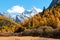 The Autumn at Yading Nature Reserve in Daocheng County ,China