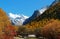 The Autumn at Yading Nature Reserve in Daocheng County ,China